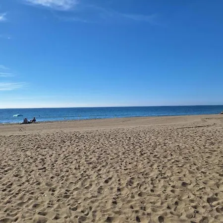 Andalusian Near * מיחאס